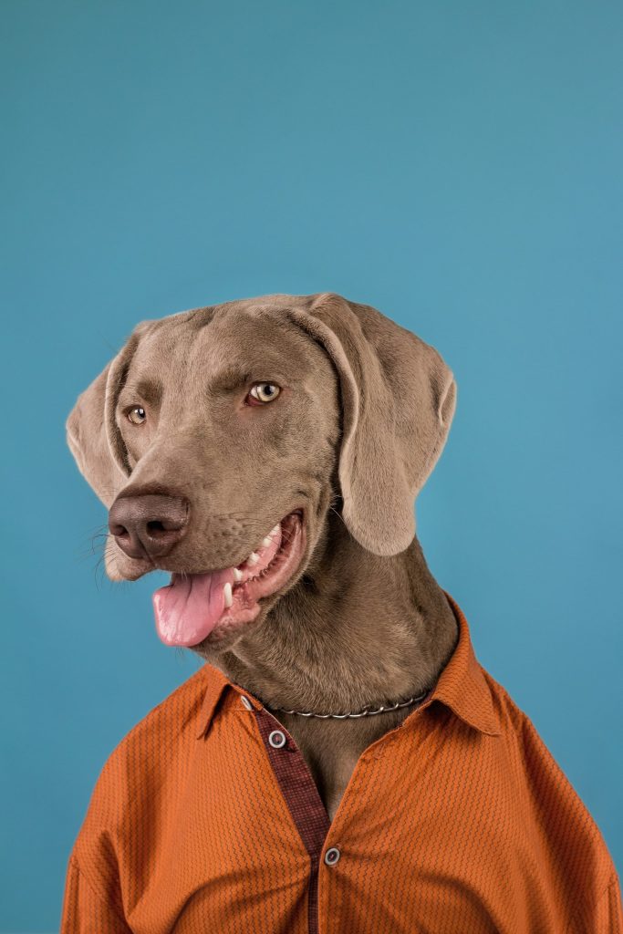 Testosterone replacement therapy side effects: What to expect?