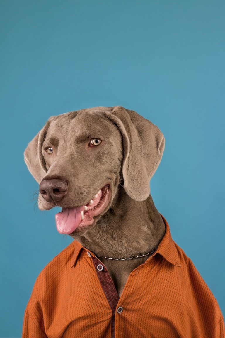 Testosterone replacement therapy side effects: What to expect?