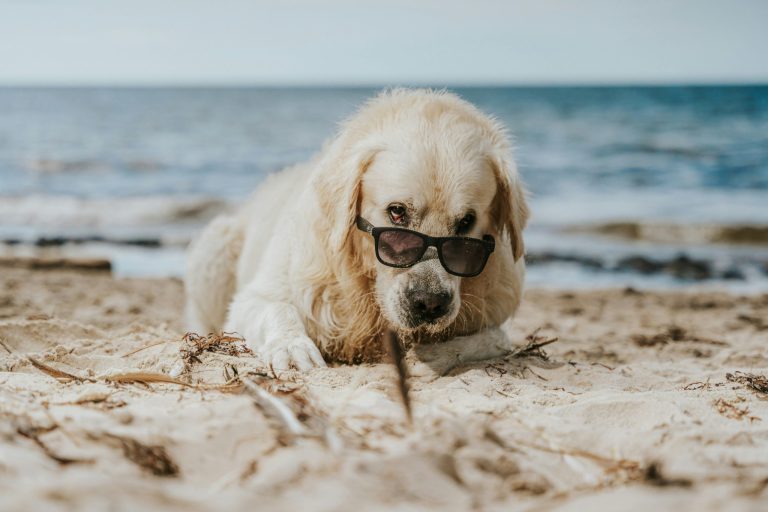 Low libido: when the brain is the issue